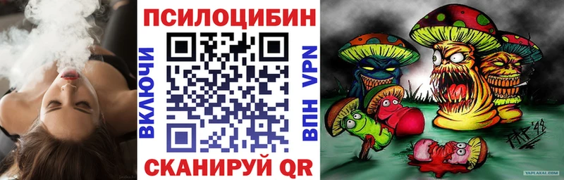 площадка наркотические препараты  Александровск-Сахалинский  Галлюциногенные грибы Magic Shrooms 